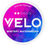 VELO Wintery Watermelon Mini