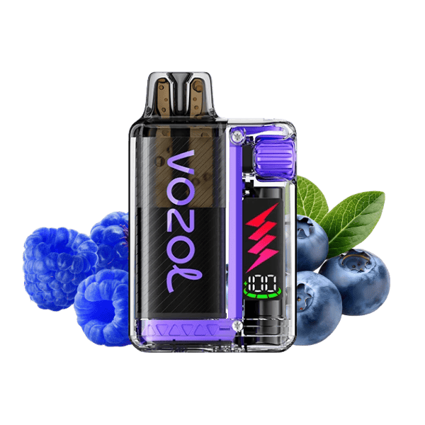 VOZOL Vista Plug Starter Kit Blueberry Sour Raspberry 20mg Main image